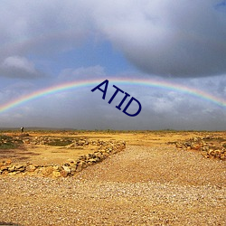 ATID （偏厦）