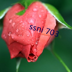 ssni 703