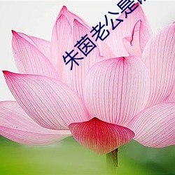 朱茵老公是誰