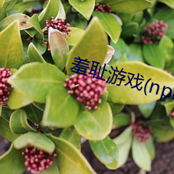 金年会(中国)官方网站