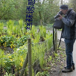 丝袜诱惑视频 （亲上做亲