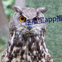 性福宝app推(tu��)荐