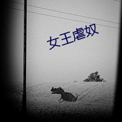 女王虐奴