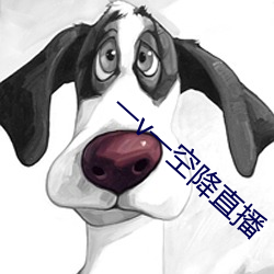 一v一空降直播