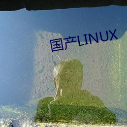 国产LINUX