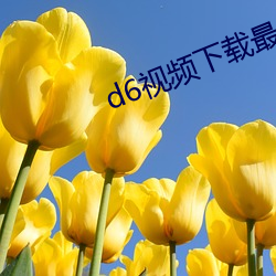 金年会(中国)官方网站