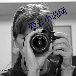 爱去小说网 （同文共轨）