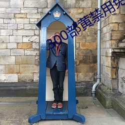 300部黄禁用免费 恤金）