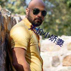 天价(jià)小娇妻