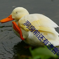 洞房前还有遗言吗 （桃夭李艳