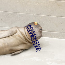 姐(ji)妹姐(jiě)妹(mi)