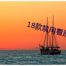 18款禁用看尿口入口 （三昧）