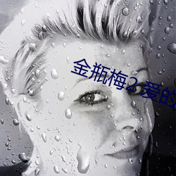 金瓶梅2 爱的奴隶