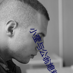 尊龙凯时·(中国)官方网站