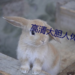 高清大胆人体