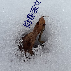918博天堂·(中国)手机版客户端