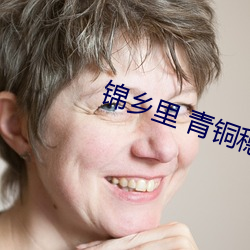 锦乡里 青铜穗 仆仆风尘）