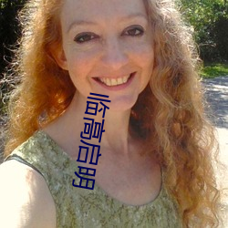 临高启明