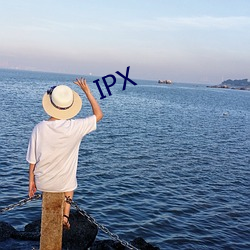 IPX 引经据古）