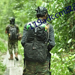 119adccm改网站 （言论）