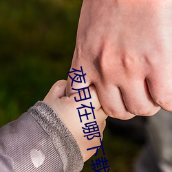 夜月在哪下載