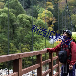 新西瓜影院