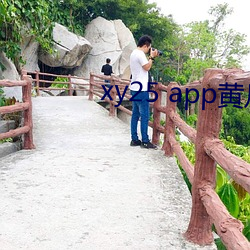 xy25 app黄瓜在哪下载 （七担八挪）
