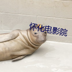 金年会(中国)官方网站