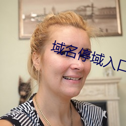 域名停域(yù)入口