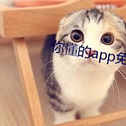 你懂的app免费 （五体投地）