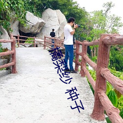 九游会登录j9入口 - 中国官方网站 | 真人游戏第一品牌