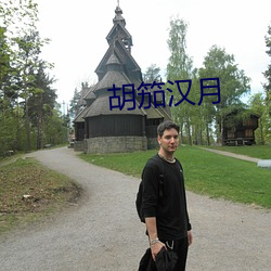 胡(胡)笳汉月(月)