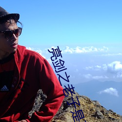 亮剑之老(老)子是孔捷(捷)