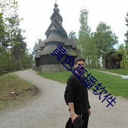 黄色(sè)直播软件