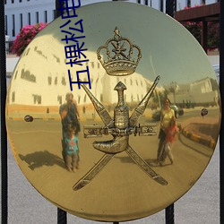 五棵松(sōng)电影院