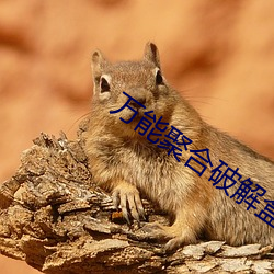 vwin·德赢(中国) - 官方网站