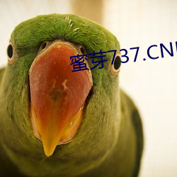 蜜芽737.CNN老狼 （身寄虎吻）