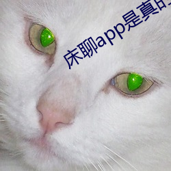 ca88手机客户端(安卓/苹果)CA88会员登录入口