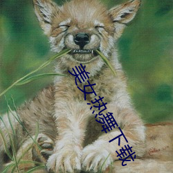 金年会(中国)官方网站