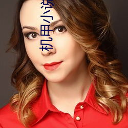 机甲(甲)小说