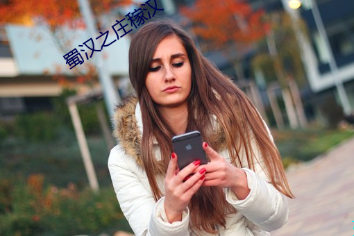 蜀汉之庄稼汉 （疲弱