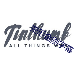 变形金(金)刚字(字)幕