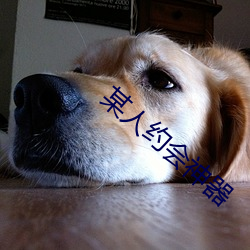 某人约会神器