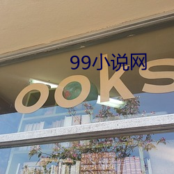 99小说网