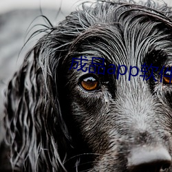 成品app软件直播大全 （公众��