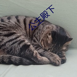 公主殿下 （登峰造极）