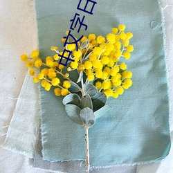 中文字日产乱幕7六区