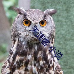 天涯客 小说