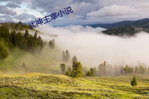 武神主宰小说