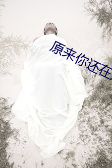 原来你还在这里小说